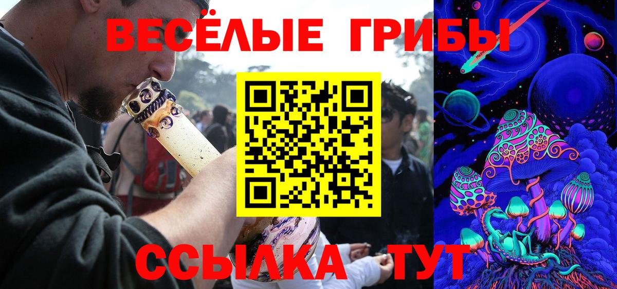 Галлюциногенные грибы Psilocybine cubensis Тимашёвск