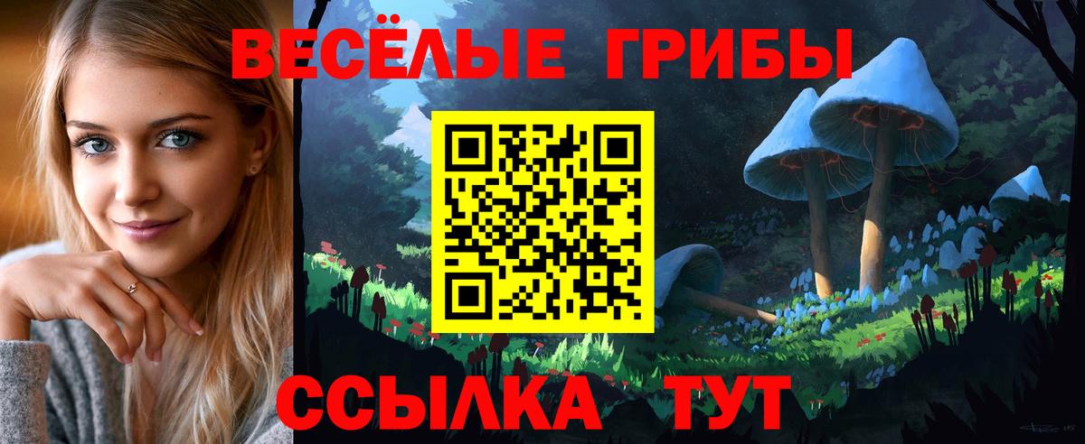 Псилоцибиновые грибы MAGIC MUSHROOMS  где найти   Тимашёвск  Вход с VPN 